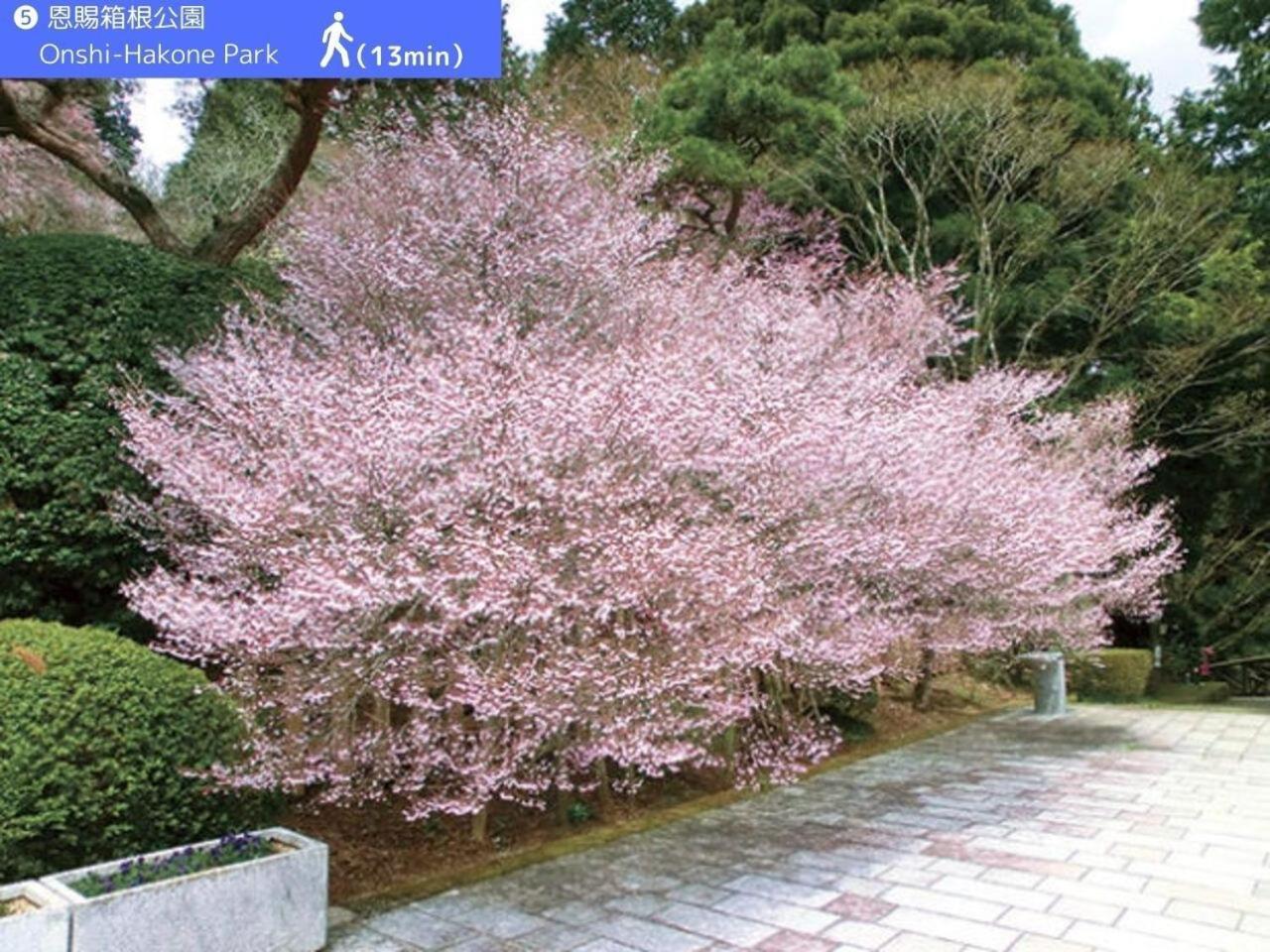 Yoichi Inn Hakone Exterior photo